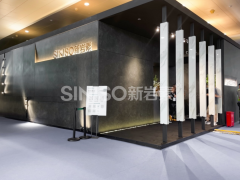 它山之石可以攻玉，新巖素將劍指何方？