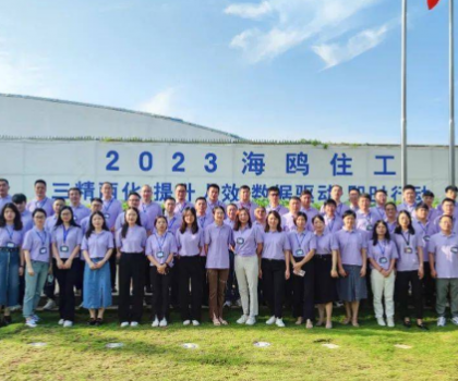 從戰(zhàn)略到執(zhí)行，四維衛(wèi)浴手把手教你如何破局