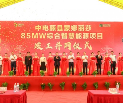 廣西最大工商業(yè)屋頂光伏項(xiàng)目在蒙娜麗莎正式并網(wǎng)啟用！