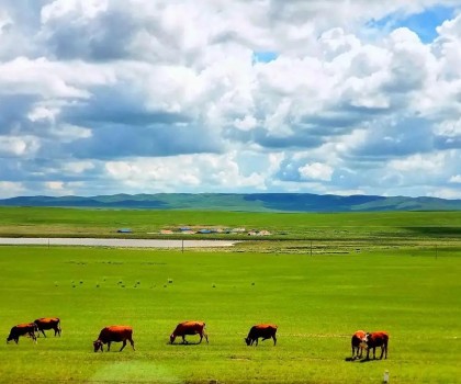 艱苦卓絕，奮楫篤行! 2025唐姆渠道事業(yè)部年中營銷峰會圓滿舉行