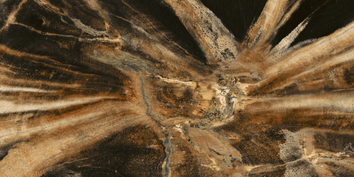 1650591355504115.png 2ba36396-485d-4a7e-a771-5bda71197bfc.png