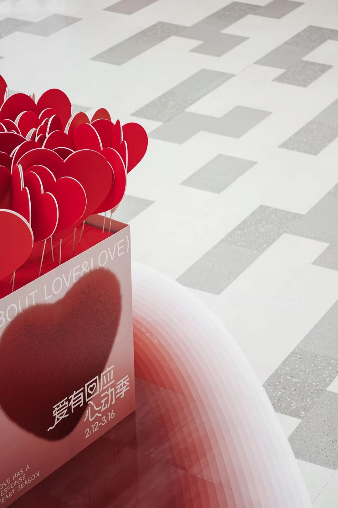 1740130604173384.jpg 6新.jpg