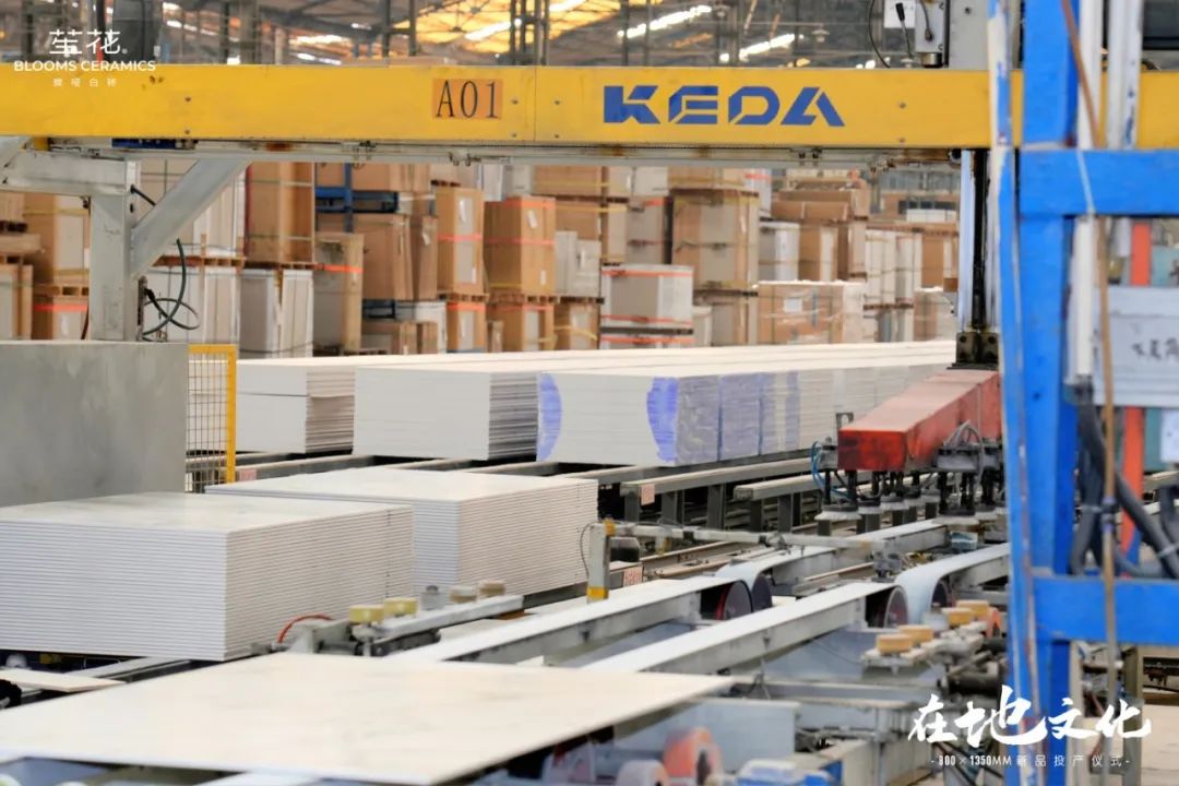 1742798466484341.jpg 640 (12).jpg